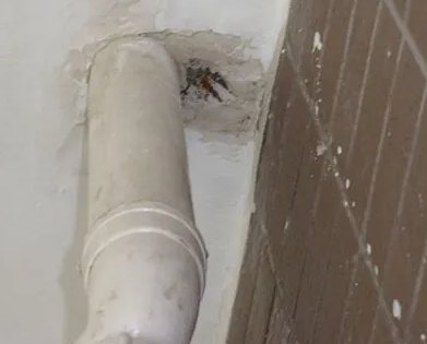 甘德漏水检测哪家好